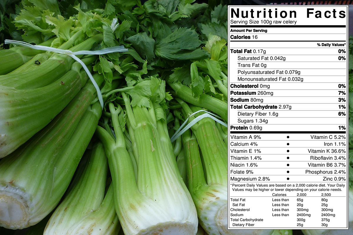 celery-fun-food-facts-foodnsport-home-of-the-80-10-10-diet-by-dr