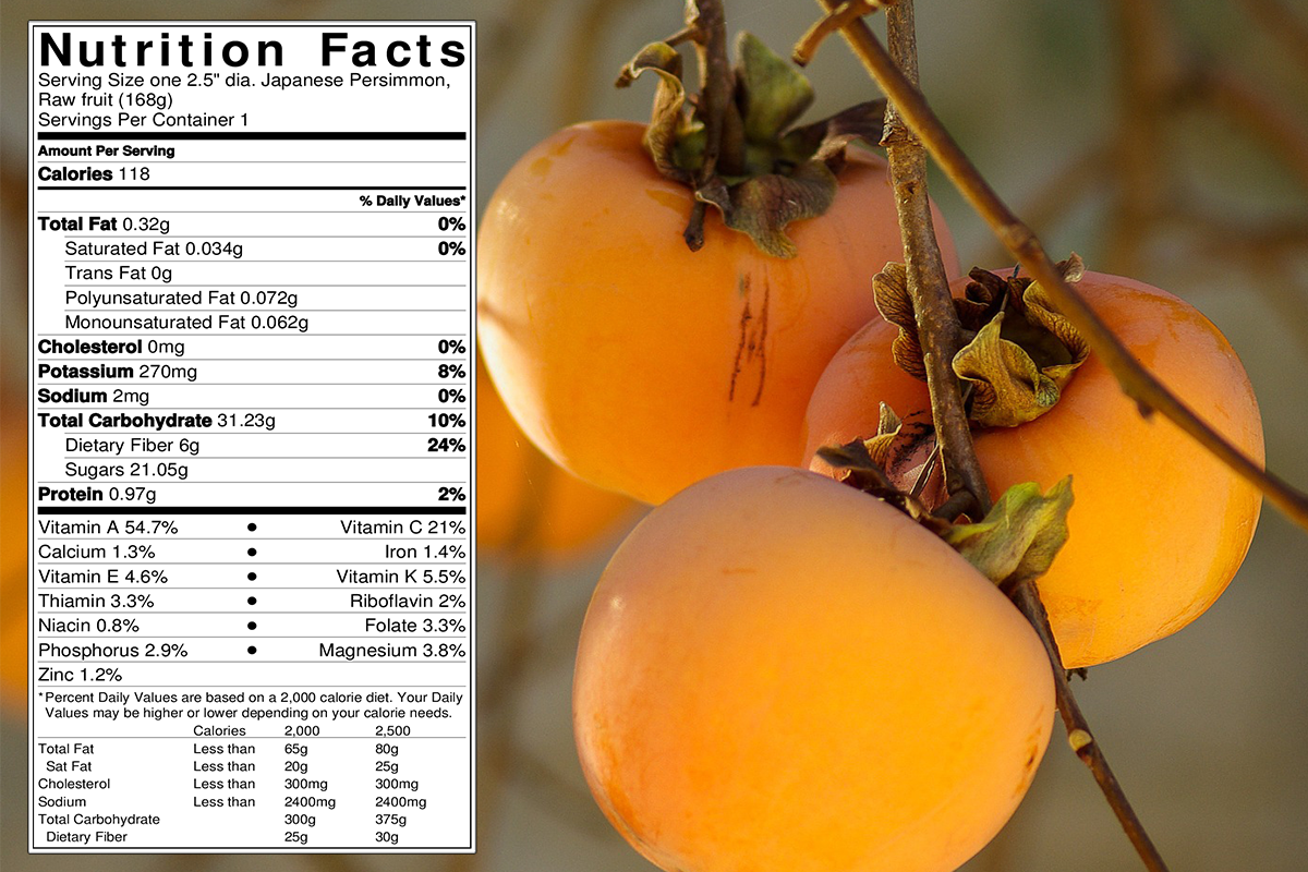 Persimmon Fruit Calories and Nutritional Facts