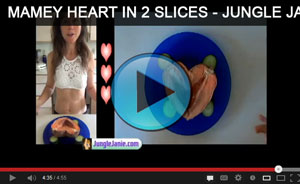 [screenshot of Mamey Heart in two slices video with Jungle Janie - click to play]