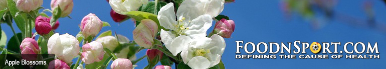 Header Image: Apple Blossoms with FoodnSport logo