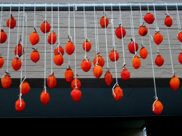 Hoshigaki and Persimmon Personality