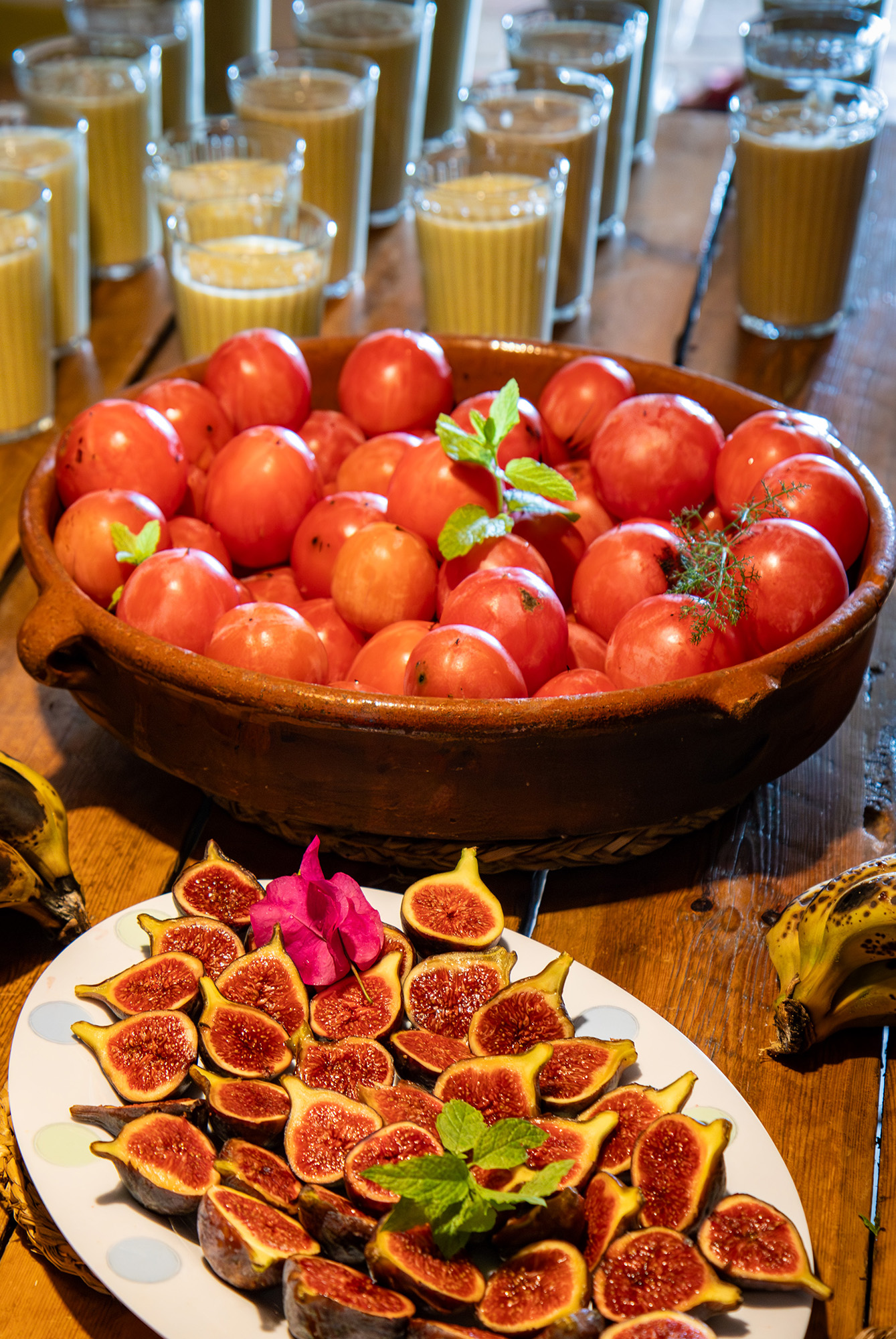 Raw Nature Retreat Persimmons